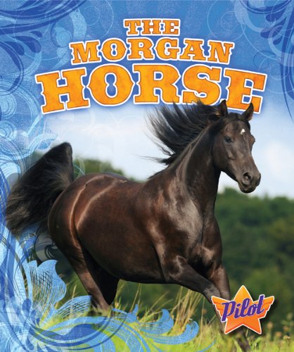 The Morgan Horse (Pilot Book: Horse Breed Roundup) by Sara Green