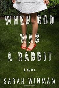 When God Was a Rabbit: A Novel