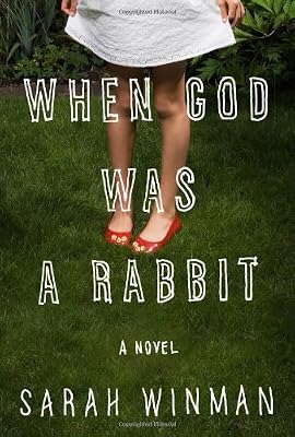 When God Was a Rabbit: A Novel