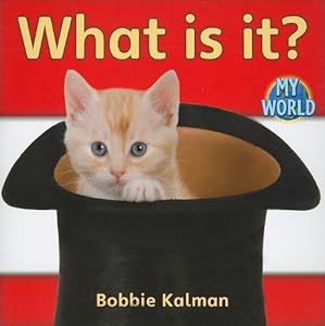 What Is It? (Bobbie Kalman's Leveled Readers: My World: A)