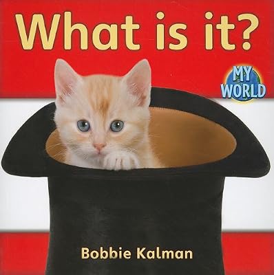 What Is It? (Bobbie Kalman's Leveled Readers: My World: A)