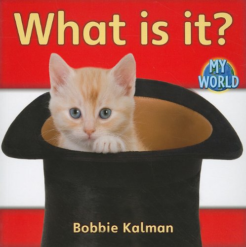 What Is It? (Bobbie Kalman's Leveled Readers: My World: A) by Bobbie Kalman