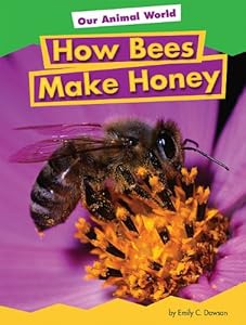 How Bees Make Honey