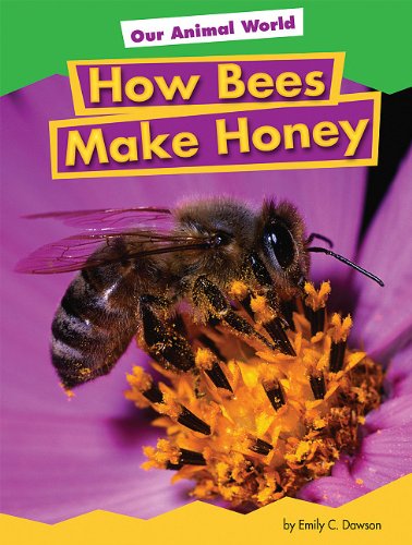 How Bees Make Honey by Emily C. Dawson