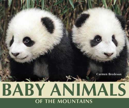 Baby Animals of the Mountains by Carmen Bredeson