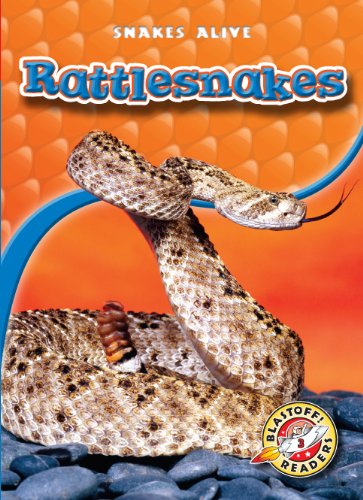Rattlesnakes by Colleen Sexton