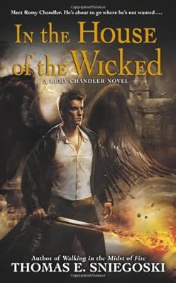 In the House of the Wicked: A Remy Chandler Novel