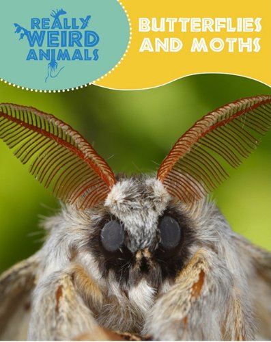 Butterflies and Moths (Really Weird Animals) by Clare Hibbert