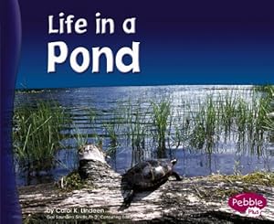 Life in a Pond (Pebble Plus: Living in a Biome)