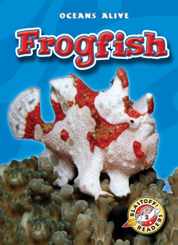 Frogfish by Colleen Sexton