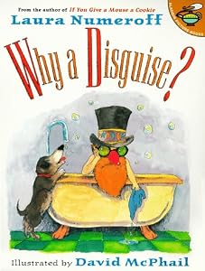 WHY A DISGUISE?