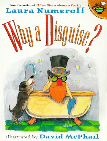 WHY A DISGUISE? by David McPhail