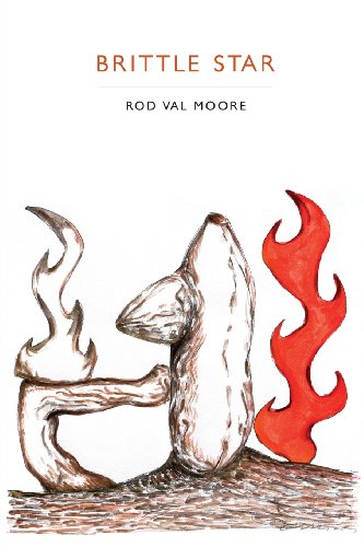 Brittle Star by Rod Val Moore