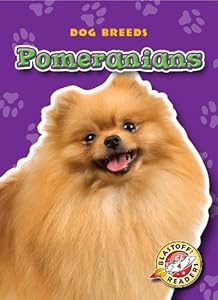 Pomeranians