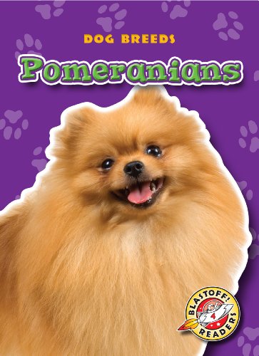 Pomeranians by Sara Green