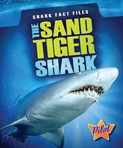 The Sand Tiger Shark by Megan Borgert-Spaniol