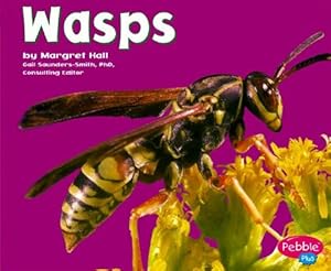 Wasps (Pebble Plus)