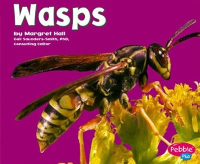 Wasps (Pebble Plus)