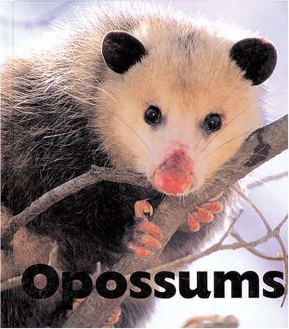 Opossums (Naturebooks: Mammals) by Sandra Lee