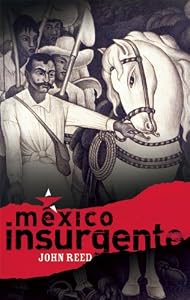 M&eacute;xico Insurgente