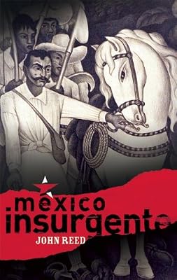 M&eacute;xico Insurgente
