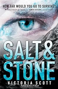 Salt &amp; Stone by Victoria Scott
