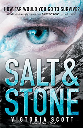 Salt &amp; Stone by Victoria Scott