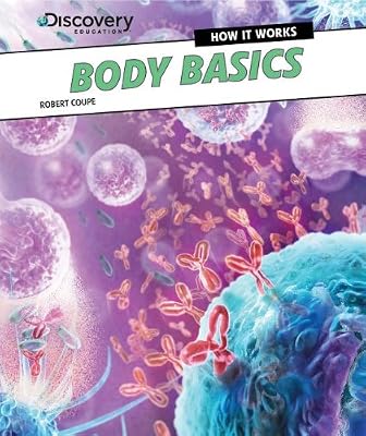 Body Basics