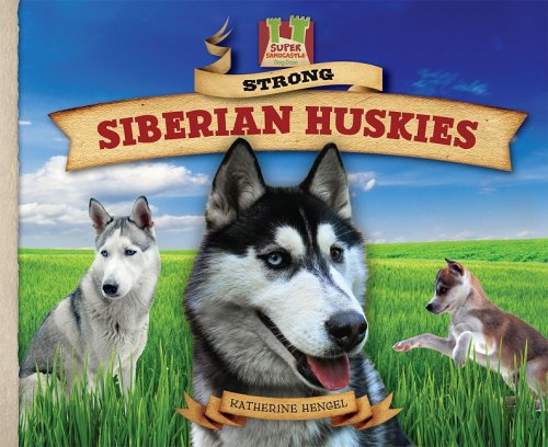 Strong Siberian Huskies: Friendly! Active! Social! Playful! Strong! Hardy! (Super Sandcastle: Dog Daze Set 1) by Katherine Hengel