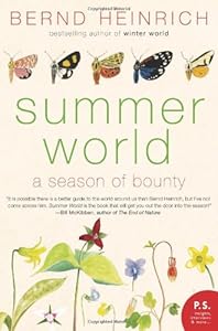 Summer World: A Season of Bounty