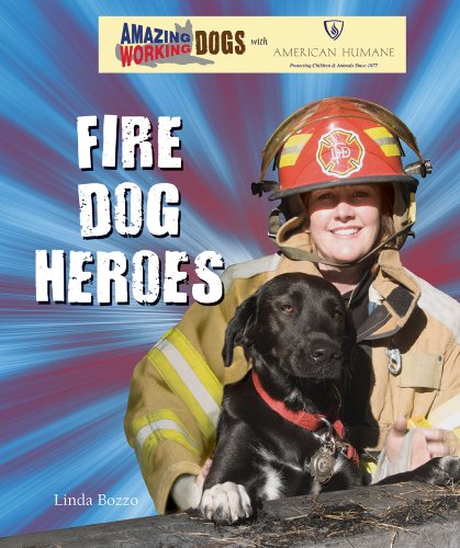 Fire Dog Heroes by Linda Bozzo