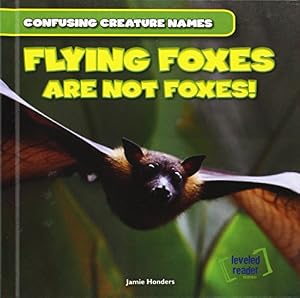 Flying Foxes Are Not Foxes!