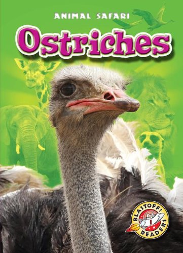 Ostriches by Kari Schuetz