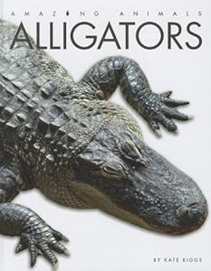 Alligators