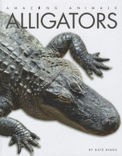 Alligators by Kate Riggs