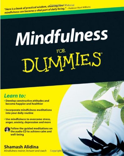 Mindfulness For Dummies by Shamash Alidina