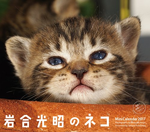 2017ミニカレンダー 岩合光昭のネコ ([カレンダー])