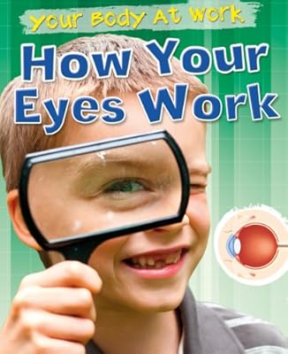 How Your Eyes Work