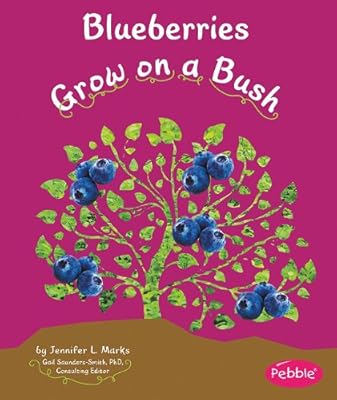 Blueberries Grow on a Bush