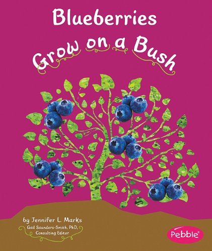 Blueberries Grow on a Bush by Mari Schuh
