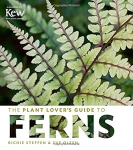 The Plant Lover's Guide to Ferns by Sue Olsen