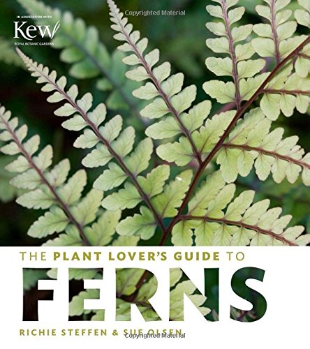 The Plant Lover's Guide to Ferns by Sue Olsen