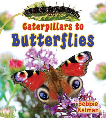 Caterpillars to butterflies by Bobbie Kalman