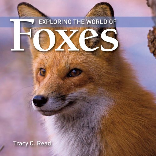 Exploring the World of Foxes by Tracy Read
