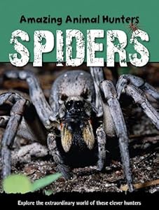 Spiders by Sally Morgan