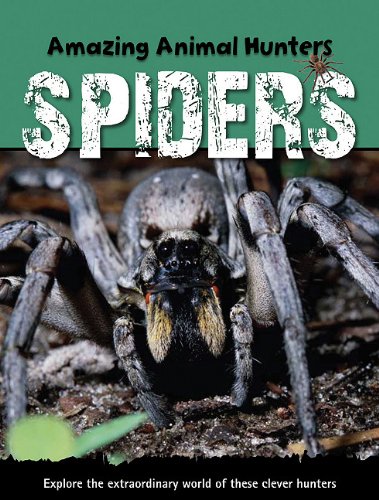 Spiders by Sally Morgan