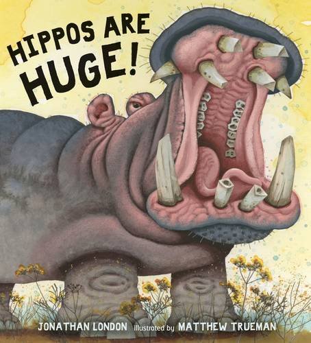 Hippos Are Huge! by Jonathan London