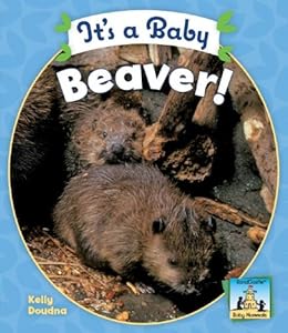 It's a Baby Beaver!