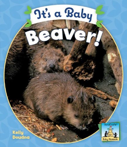 It's a Baby Beaver! by Kelly Doudna