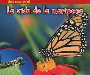 La vida de la mariposa